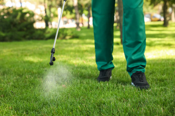 Pest Control for Hotels in Citrus Park, AZ